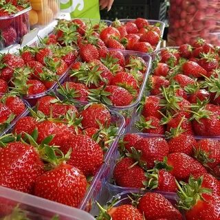Сколько заработать на клубнике