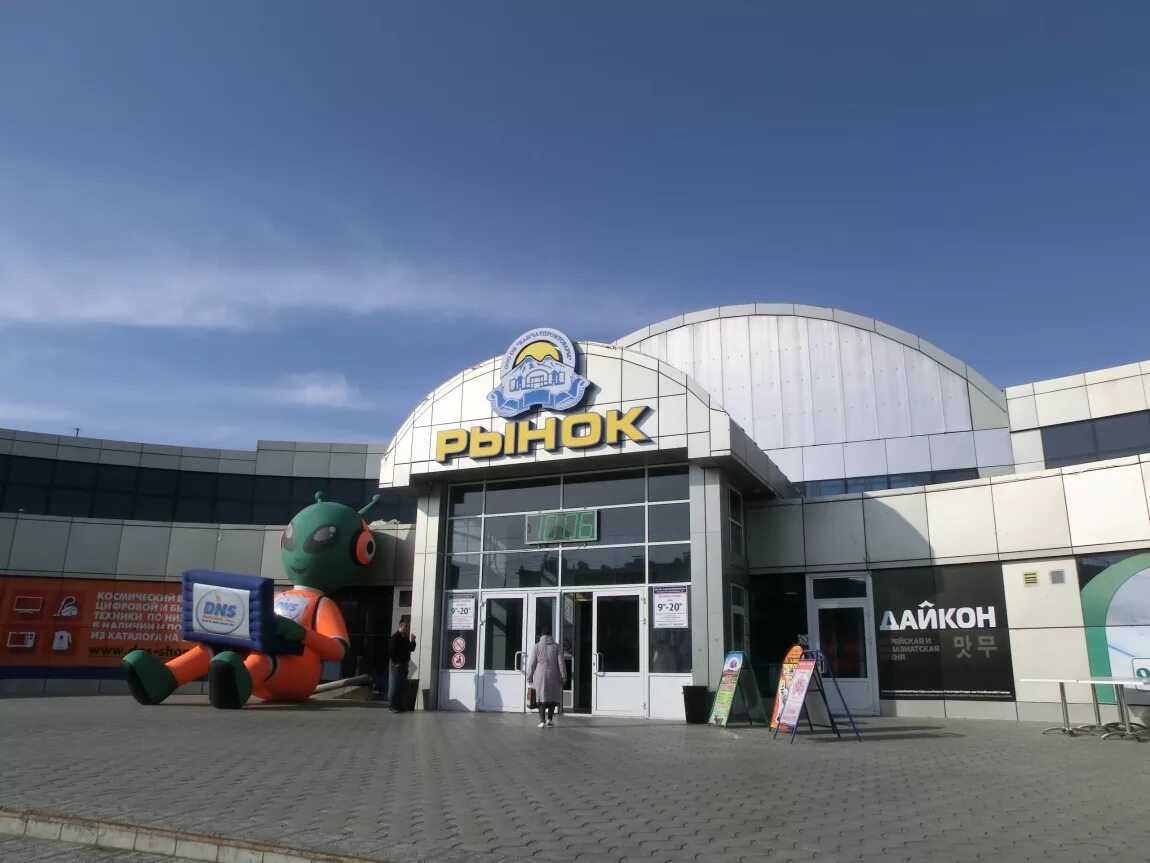 Дайкон какаду. Сладкий сорт дайкона. Дайкон камчатка. Доставка роллов петропавловск-камчатский дайкон. Дайкон феликса.