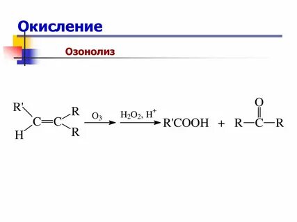 Озонолиз