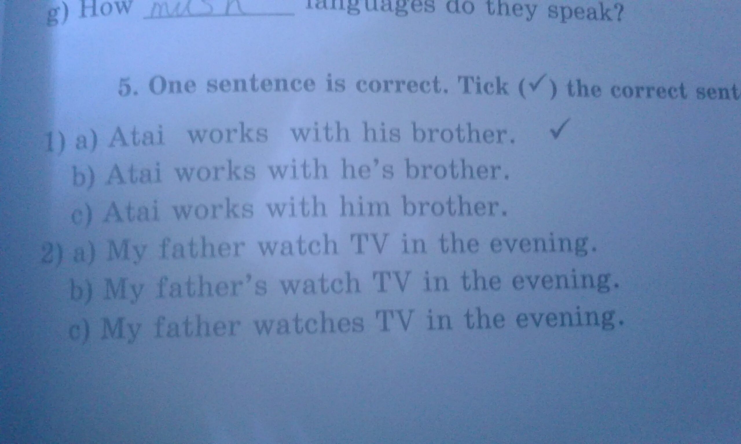 Tick the correct. Tick the correct sentences. One sentence is correct.Tick( )the correct sentence. The one in sentence. Tick the correct sentence for each picture.