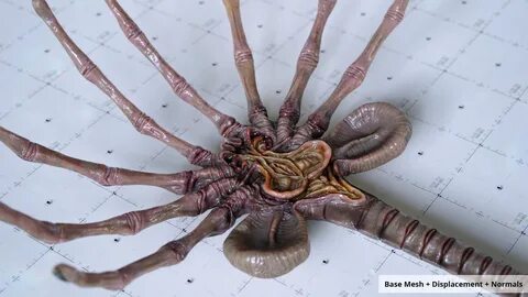Uzaylı Facehugger - PBR 3D Varlık Kiti3D. 