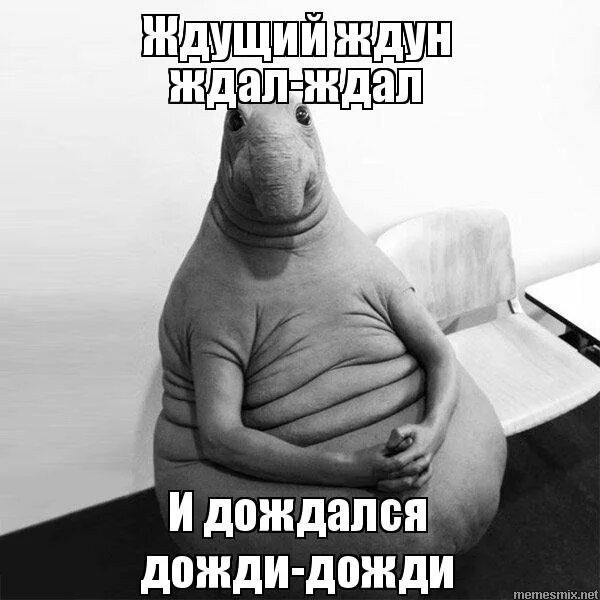 Ура картинки прикольные. Картинки с возвращением из отпуска. Хатико ждал и я подожду. Дождаться радостный. Ура отпуск.