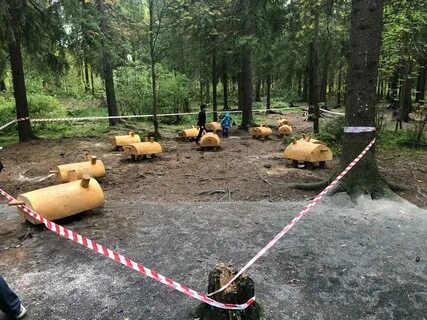 Зон петрозаводск