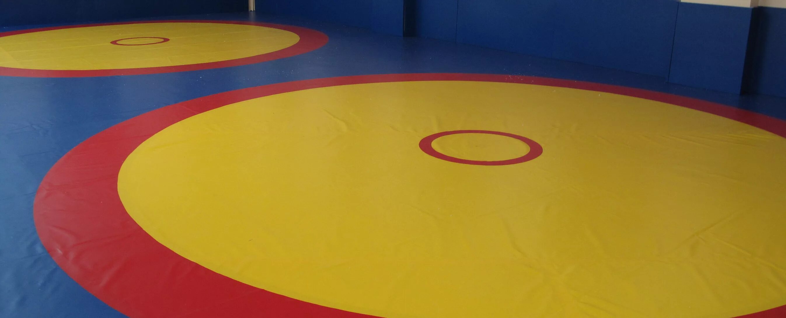 Борцовский зал самбо. Боевое самбо бакаев иркутск. Ковер борцовский для вольной и греко-римской борьбы. Борцовский ковер 12х12 паспорт. Поле самбо.