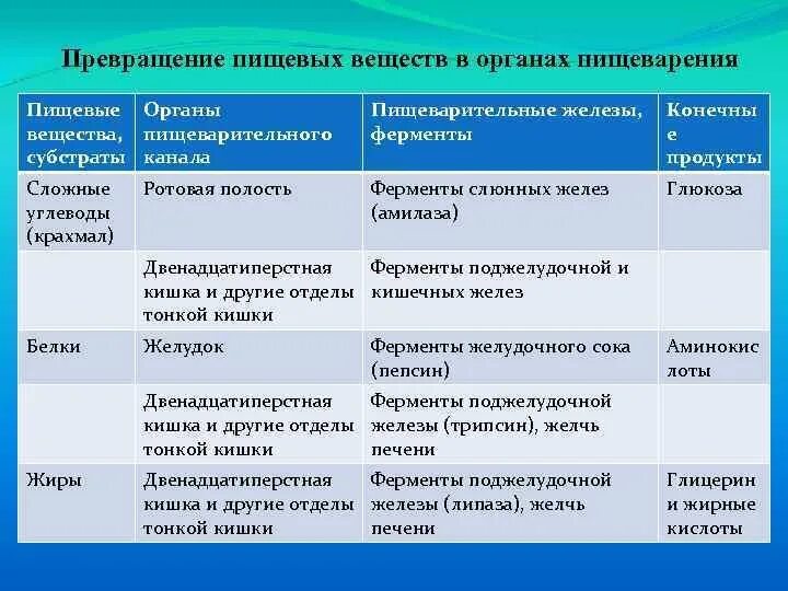 Таблица по пищеварению 8 класс биология. Функции органов пищеварительной системы человека таблица. Превращение пищевых веществ в органах пищеварения. Таблица питательные вещества в пищеварительной системе. Расщепление питательных веществ в органах пищеварения.