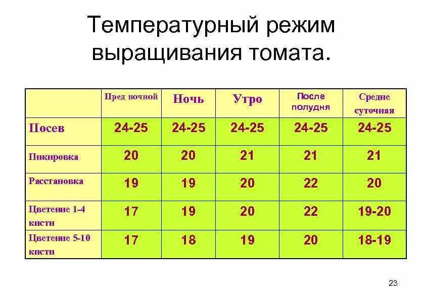 Оптимальная температура для помидор