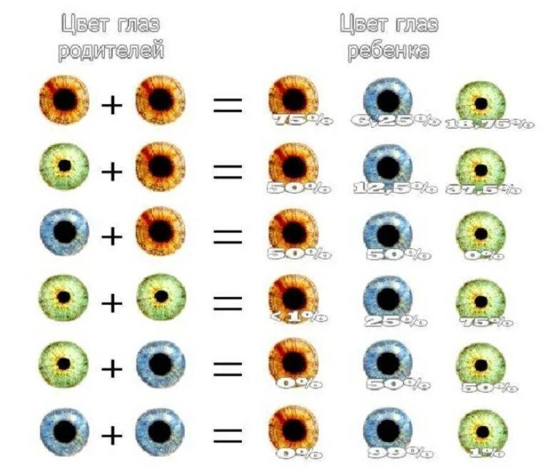 Цвет глаза зависит от пигмента. У обоих родителей карие глаза а у ребенка голубые. Таблица наследования цвета глаз ребенком. Как узнать какого цвета будут глаза у ребенка. Цвет глаз у ребёнка от родителей таблица карие и карие.