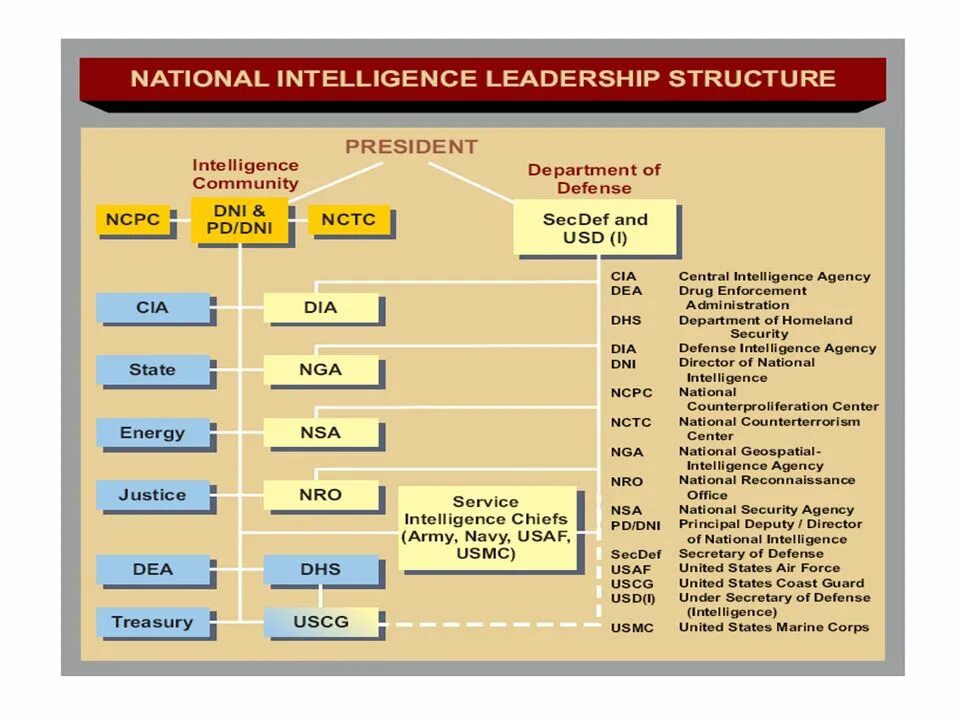 Org intelligence