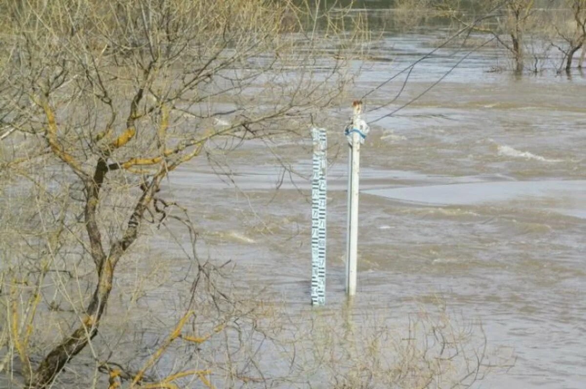 Замер уровня воды в реке. Гидропост Обнинск Протва. Гидропост спас Загорье. Реечный водомерный пост. Водомерный пост на реке.