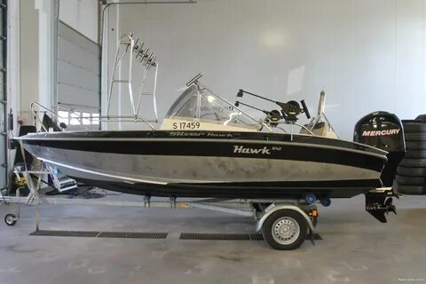 Сильвер хавк 540