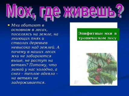Среда обитания сфагнума