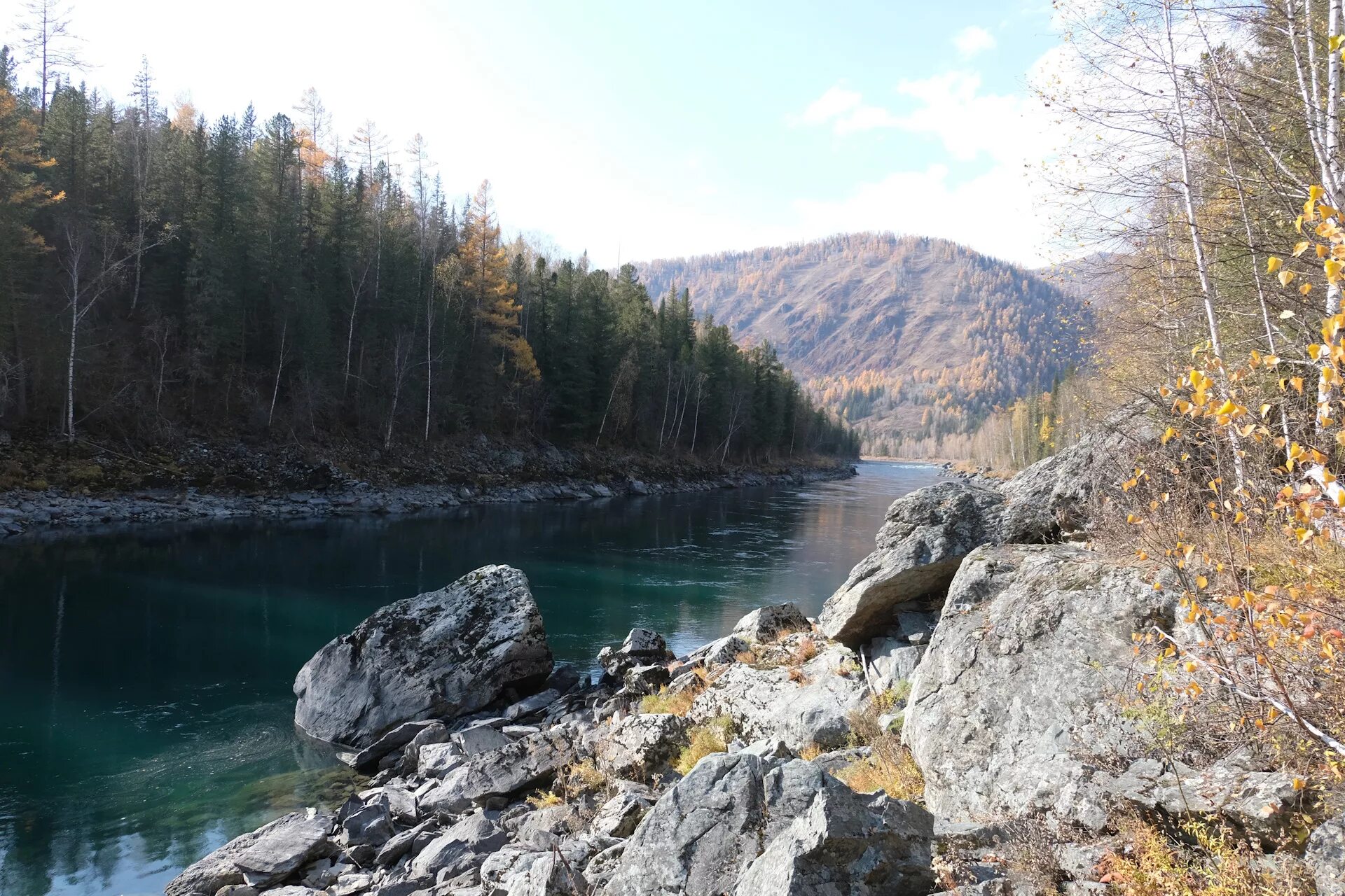 Катунь Усть кокса. Горный Алтай село Усть кокса. Верхняя Катунь Усть-Коксинский район Порги. Усть кокса осенью.