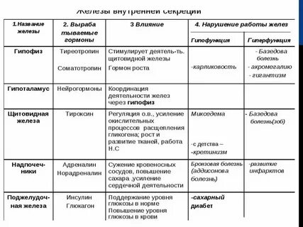 Проанализируйте таблицу эндокринные железы заполните пустые