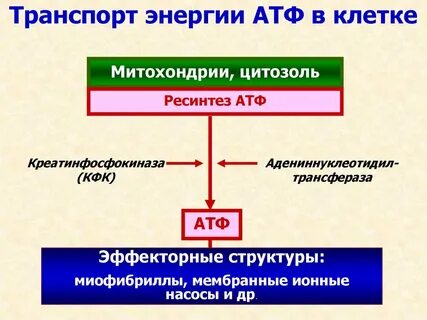 Транспорт энергии