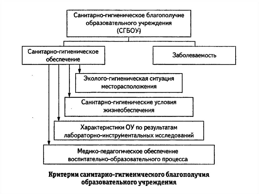 Гигиенические условия образовательного процесса. Санитарно гигиеническое благополучие образовательного учреждения. Гигиенические требования к игрушкам. Гигиенические требования к игрушкам в детском саду. Б потребность в санитарно гигиеническом благополучии