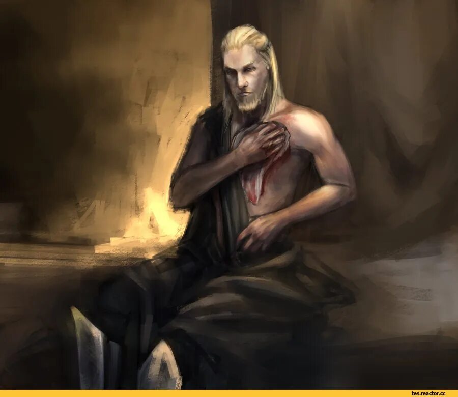 The elder scrolls редгарды арт. Скайрим данмер вампир. The elder scrolls данмеры арт. The elder scrolls альдмерский доминион. The elder scrolls данмеры.