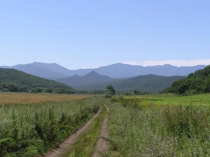 Лазо приморский край