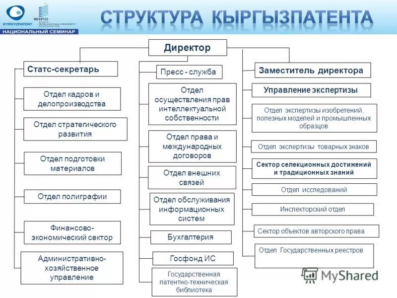 Отдел группа служба. Сектор или отдел. Сектор отдел управление. Чем отличается сектор от отдела в организации. Отдел группа сектор в организации.