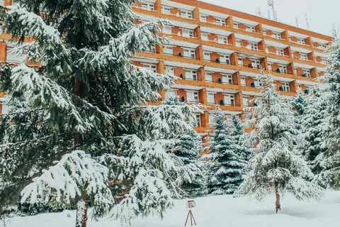 Пенза березовая роща погода