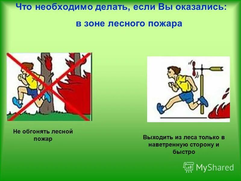 Что делать в зоне лесного пожара. Зоны действия пожара. Как выходить из зоны лесного пожара. Что делать если вы оказались в зоне лесного пожара.