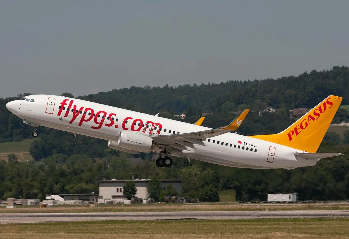 Турецкая авиакомпания Pegasus Airlines. Pegasus Airlines авиакомпании Турции. А321 Пегасус. Пегасус Эйрлайнс самолеты.