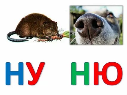 Животное на букву ю