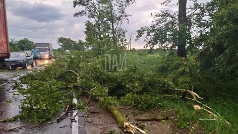 Ураган 25