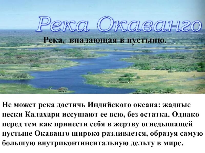 Какие крупные реки впадают в океан. Реки которые впадают в индийский океан. Бассейн реки Окаванго. Реки Африки впадающие в индийский океан. Крупные реки впадающие в индийский океан.