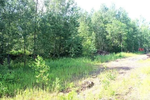 Участок 259