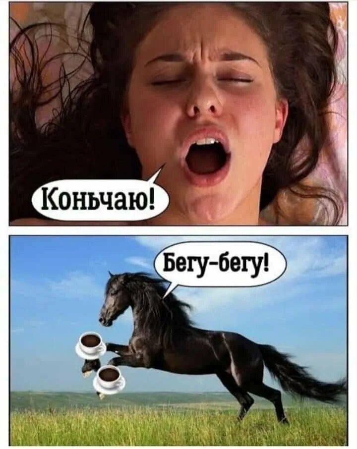Конь кончается. Конь чаю мем. конь чаю бегу бегу мем. прикол конь чаю уже. конь чаю уже несу.