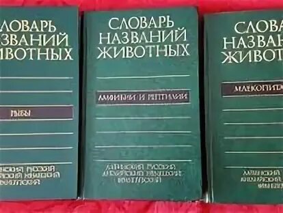 Словарь найду