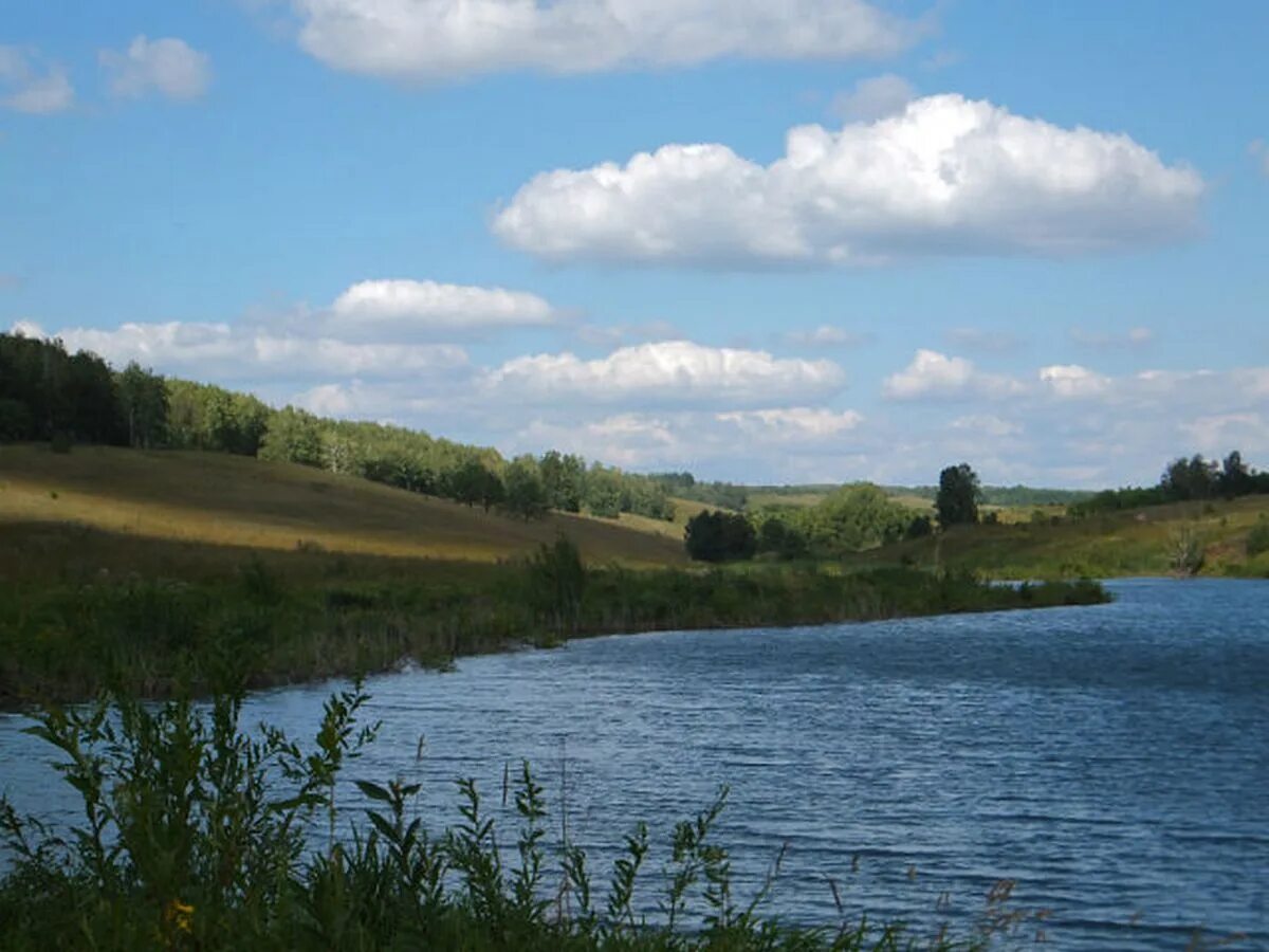 Река гр. За тихой рекою в березовой роще. Река абакан брода. Река актай татарстан базарные матаки. Исток ручья.