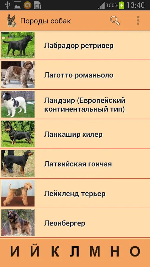 Определить породу по описанию. Породы собак приложение. Определить породу собаки. Как распознать породу собаки по фото.