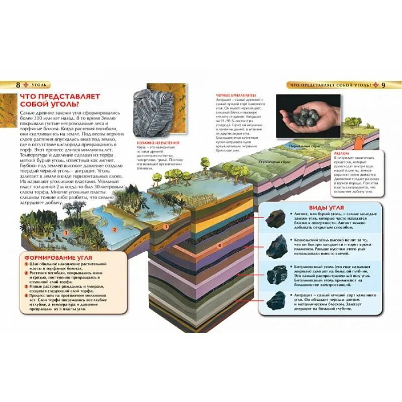 Образование каменного угля 5. Энциклопедия уголь. Детская энциклопедия уголь. Каменный уголь детская энциклопедия. Схема образования каменного угля.