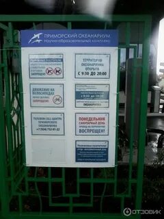 Океанариум владивосток расписание