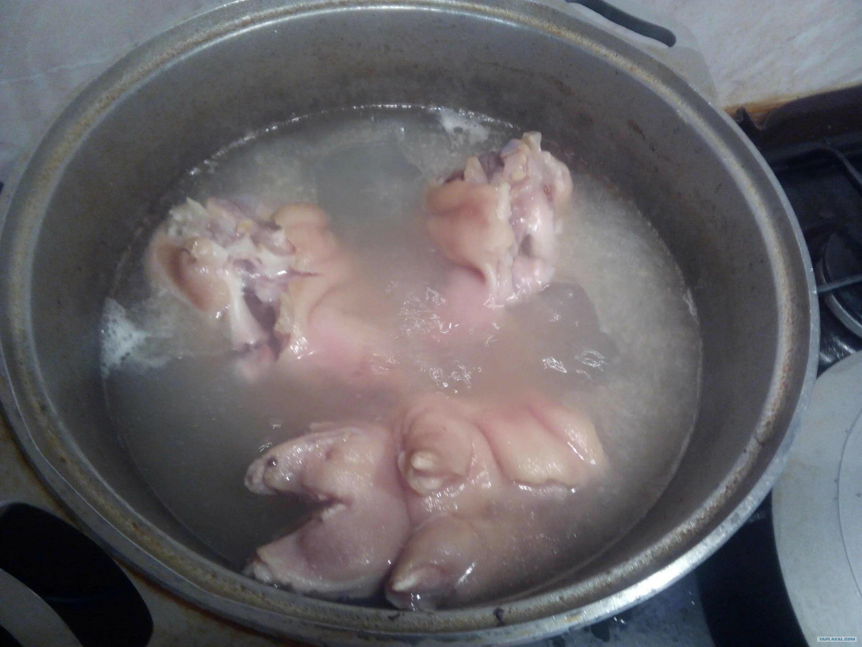 хаш из свиной рульки. хаш со свининой. набор для хаша свиной. хаш в мультиварке. набор для хаша.