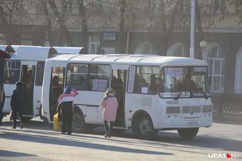 Уфа автобус на сегодня