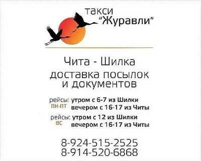 Номер муравья чита