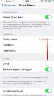 Как включить сетку на камере