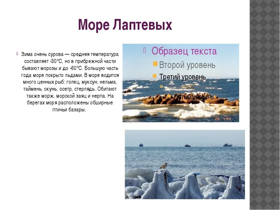 Бассейн океана моря лаптевых