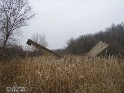 Погода в захаровке