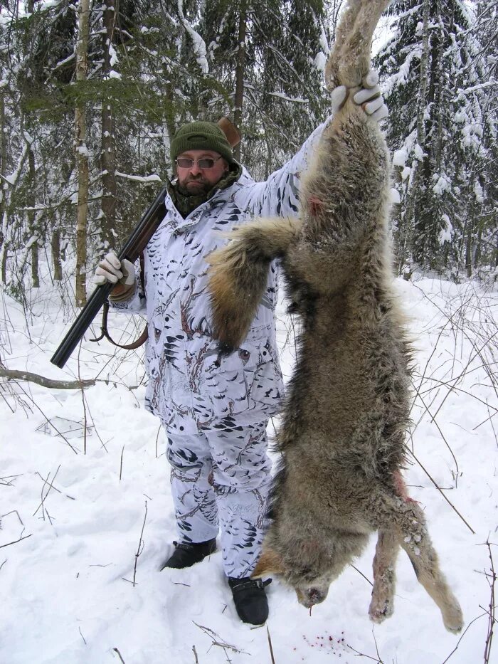 Егеря кировской области. Охотники стали добычей. Ружья для охоты. Охотничьи трофеи. Охотники стали добычей.