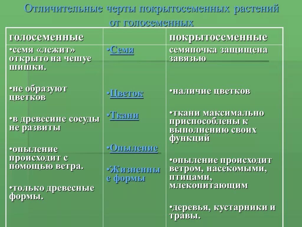 Покрытосеменные отличия. Голосеменные и Покрытосеменные растения таблица. Ткани голосеменных. Ткани покрытосеменных растений таблица. Ткани голосеменных и покрытосеменных растений.