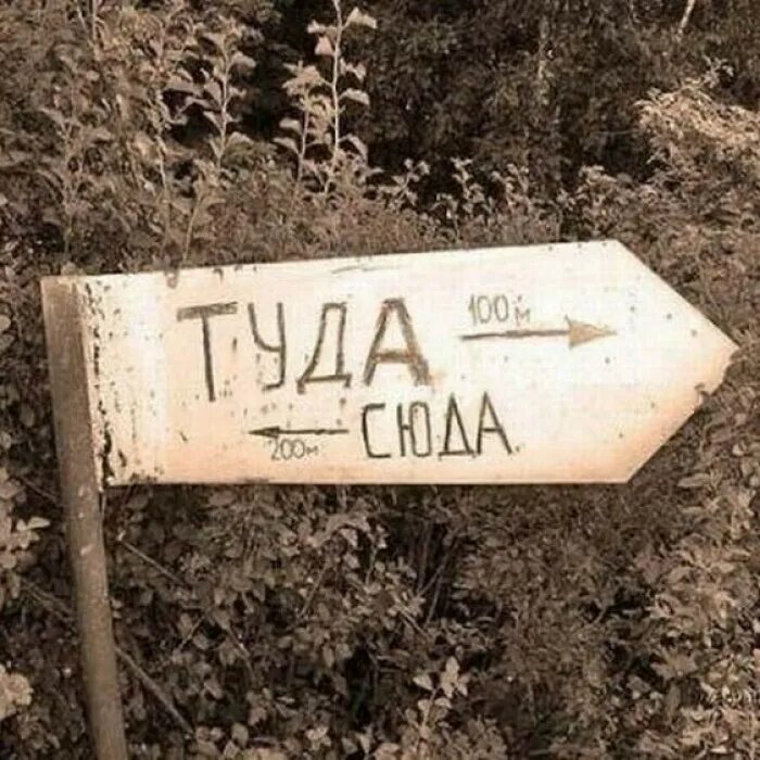 Оттуда или от туда как