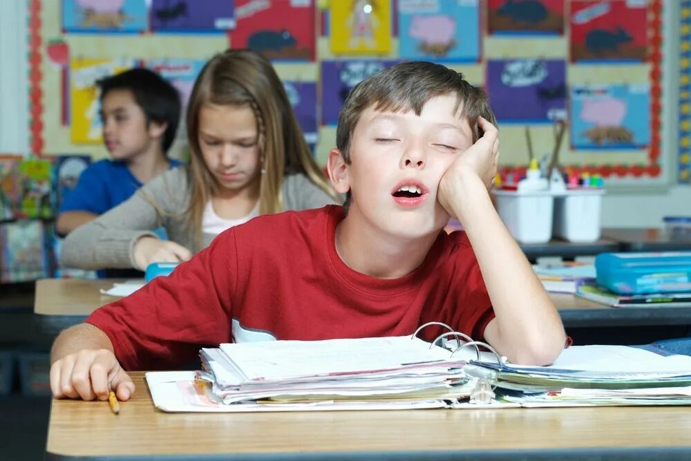 Дети идут в школу по дороге. Сонный ученик. Утром после школы. Приколы про школьников. Школьники на уроке.