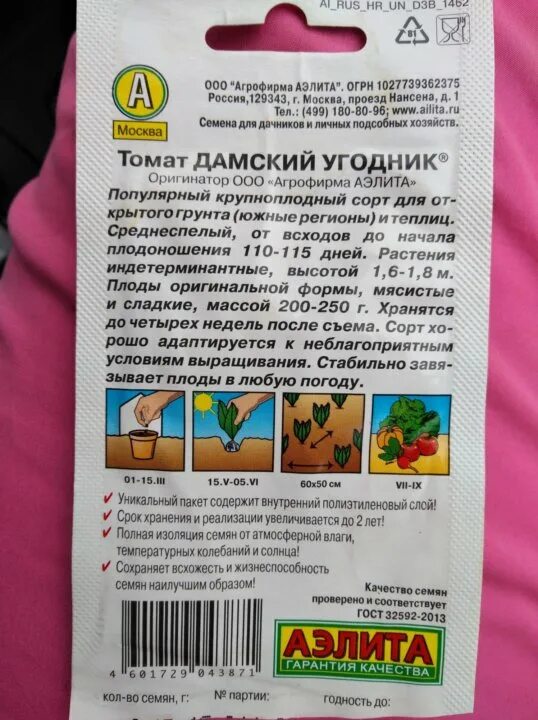 Сорт томатов дамский угодник отзывы. Сорт помидор Дамский угодник. Томат Дамский угодник характеристика. Семена томат Дамский угодник. Томаты Дамский угодник описание сорта.