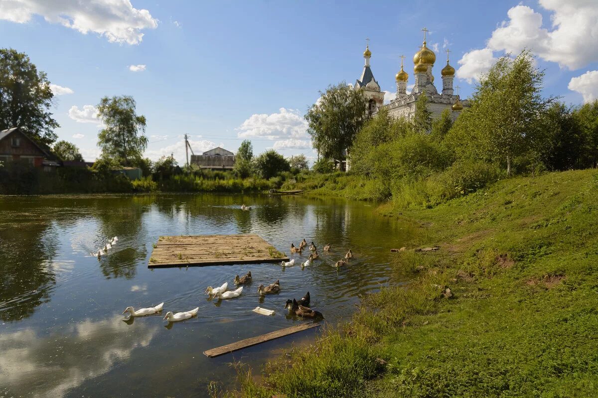 Пейзажи Подмосковья. Подмосковье летом. Природа Подмосковья лето. Природа Московской области. П подмосковный