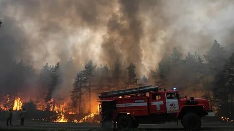 Пожары за сутки московская область