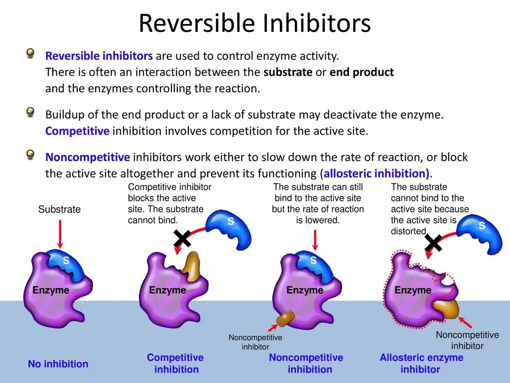 Enzyme inhibitors. Enzyme inhibition. Competitive inhibition. Types of inhibitors. Couldn't bind to