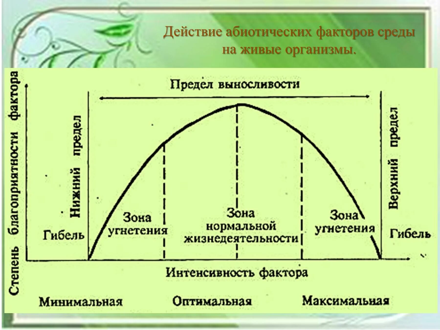 Что является основным абиотическим лимитирующим фактором
